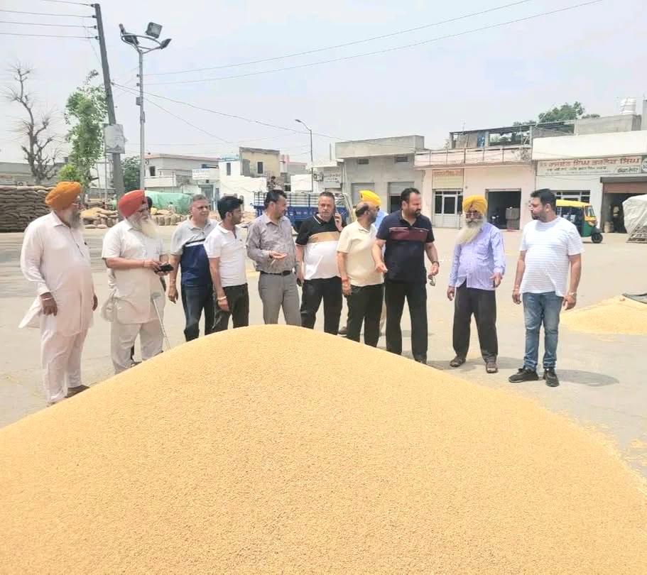 अतिरिक्त उपायुक्त राजीव वर्मा ने विभिन्न अनाज मंडियों का दौरा किया।